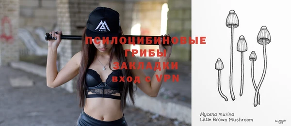 apvp Лихославль