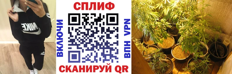 сколько стоит  Абдулино  Марихуана план 